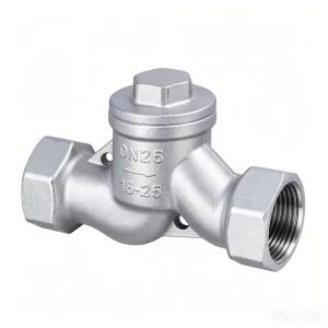 SS304/316 Threaded Check Valve Horizontal S-Type 1000WOG for Oil & Water Systems MOQ 1pc
