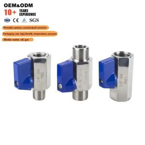 SS304 Mini Water Ball Valve BSP NPT Female Thread Small Valve PN63 Stainless Steel Mini Ball Valve