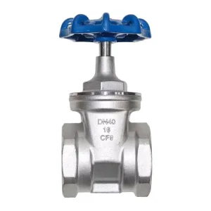 SS304 SS316 Stainless Steel Soft Seal Gate Valve DN15 DN300 PN16 EPDM NBR PTFE CE ISO Water Food Pharmaceutical Manufacturer