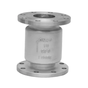 SS304 Vertical Check Valve Acid Resistant Stainless Steel Flanged Automatic Non Return Valve PN16 ISO9001 Certified OEM Supply