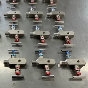 SS316 1/2 Inch NPT 2-Way Manifold Block-and-Bleed Needle Valve 6000 PSI for Acid, Base, Gas, Oil, Water, and Hydraulic Power
