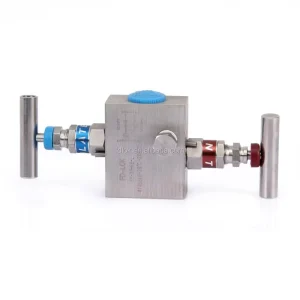 SS316 1 2 Inch NPT Manual Power 6000psi 2 Way Block Bleed Needle Valve Manifolds High Temperature Gas