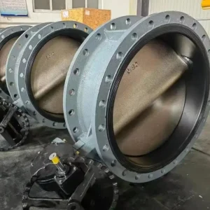 SS3Inch Class150 Concentric Centric Disc Stainless Steel Butterfly Valve