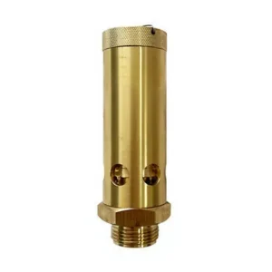 Safety Valve 0830100818 for Industrial Air Compressors