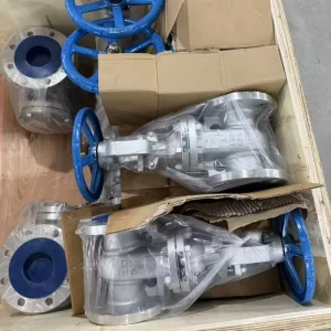 Sanitary Stainless Gate Valve 316L Tri Clamp Raised Face Pharmaceutical Grade Biotech