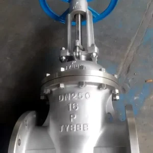 Sanitary Stainless Gate Valve 316L Tri Clamp Raised Face Pharmaceutical Grade Biotech