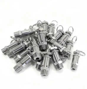 Sanitary Stainless Steel 304 Tank 1/4 NPT Pressure Relief Valve Exhaust Valve Vent Valve
