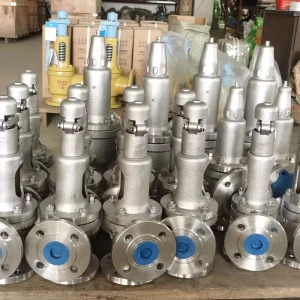 Sanitary Stainless Steel Safety Valve SS304 Tri Clamp Fixed Pressure Relief Vacuum Service Food Grade Hygienic Design