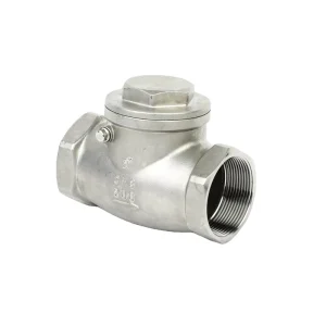 Screw End Non Return Swing Check Valve for Water