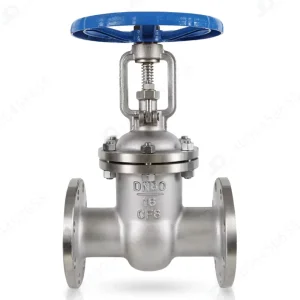 Seize 2″~24″ CF8 Gate Valve Stainless Steel Flanged Gate Valve