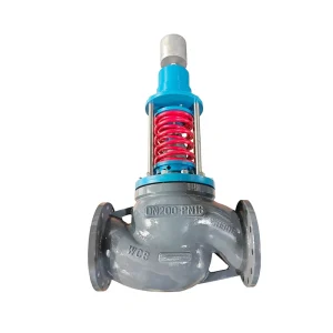Self-Operated Pressure Reducing Valve DN50 PN16 for Steam Gas and Liquid with ±5% Accuracy