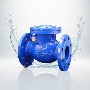Sewage Gate Valves Flange Ball Type Check Valve for Water Safety Manual