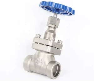 Short Stem Manual Cryogenic Gate Valve for Water High Temperature Shutoff Control 1/2 316SS