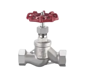 Shutoff Valves Manual Control Stainless Steel DN15 SS201 Thread Screw End Globe Valve Shutoff Valves