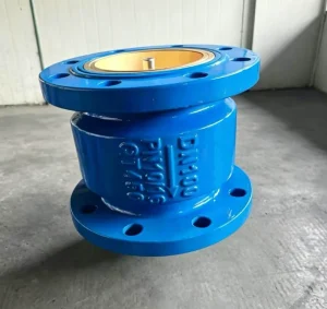 Silencing Check Valve Anti Water Hammer Silent Non Return Valve Brass Core One Way Pipeline Valve 4 Inch EPDM Sealing HC41X