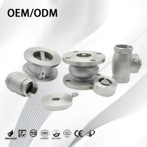Single Flow Non Return SS304 High Pressure Stainless Steel Spring Loaded Check Valve Horizontal Vertical PTFE
