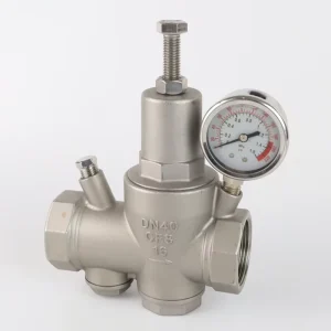 Single-Gauge Stainless Steel Pressure Reducing Valve with Piston Filter for Water