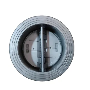 Slant Disc Double Plate Check Valve 304 Stainless Steel Manufacturer