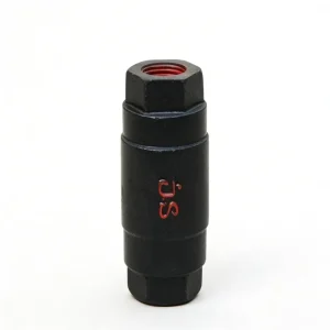 Small Vertical One way Check Valve H12X Black Cast Iron with Rubber Seal Water Pump Inlet Simple Anti return Water Stop Valve