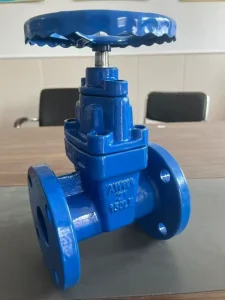 Soft Metal Seal Hydraulic 4 Inch Gate Valve Telescopic Gate Valve Globe Valve Flanged Grooved Water Fire Protection Valves