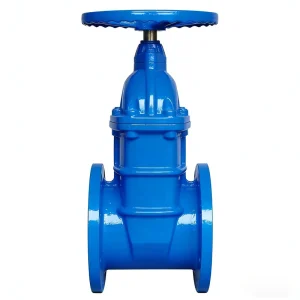Soft Seal Gate Valve Flanged Ductile Iron Resilient Seated Valve for Water Supply DN50 DN300 PN16