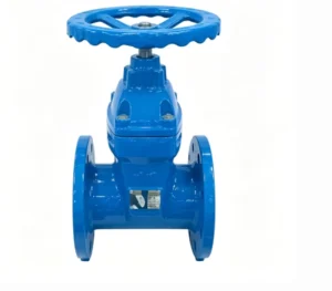 Soft Seal Gate Valve Telescopic Structure Encryption Lock Water Meter Front Valve Flange Connection 2in-16in PN10