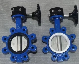 Soft Seal Lever Wafer Flange Groove Butterfly Valve Manual Water Valve 4 Inch Port Low Temperature Application