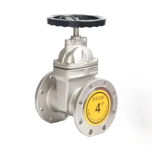 Soft Seal Manual EPDM Valve Core DIN CF8 Outer Grade 300 ANSI Stainless Steel Water Stop Gate Valve Flange Port