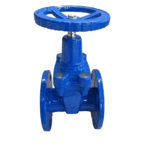 Soft Sealing Manual Water Gate Valve BS Carbon Steel DN50-DN800 PN10/PN16