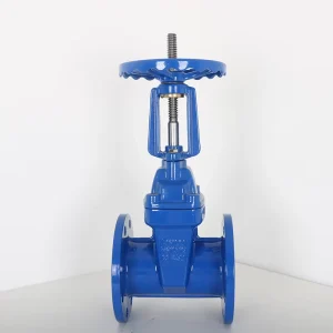 Soft Sealing Rising Stem Gate Valve with EPDM Seal PN16 Ductile Iron Body Flange Connection for Water