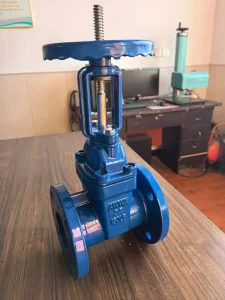 Soft Seated Gate Valve 4 Inch Low Temperature Outside & Screw Flange Clamp Manual Water Conservancy Valve GB DIN ANSI Z45X Juniu
