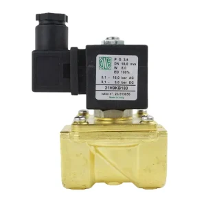 Solenoid Valve Brass 21H9KB180 Pilot Control G 3/4inch NBR 8W 12W 14W Normally Closed DN20 Air Compressor Beverage Machine