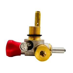 Solenoid Valve NPT1 4 PZ27.8 24V 20MPa for CNG Vehicle CTF XD12C Nickel Plated