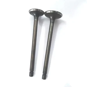 Spare Parts Engine Intake and Exhaust Valve 13711-87704 and 13715-87703 Used Valve Tappets