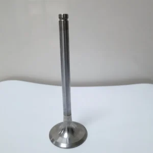Spare Parts Truck Parts Air Intake Valve 612600050073