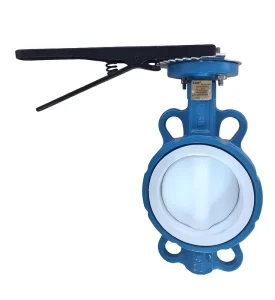 Spheroidal Graphite Cast Iron Acid-resistant Handle Manual Butterfly Valves GB ANSI JIS PTFE Inner Lining Valve Plate