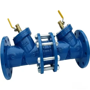 Spheroidal Graphite Cast Iron HS41X Anti fouling Isolation Valve Check Valve Double Filtration Backflow Preventer