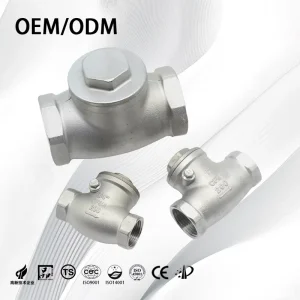 Spring Loaded Check Valve Stainless Steel Non Return Valves Vertical Check Valve 1000WOG