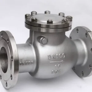 Spring Loaded Silent Check Valve Stainless Steel SS 304 316 for Pump Discharge Low Water Hammer