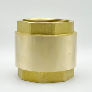 Spring Vertical Brass One Way Valve DN25 Forged Threaded Anti reflux Horizontal Mount for Water Pipeline