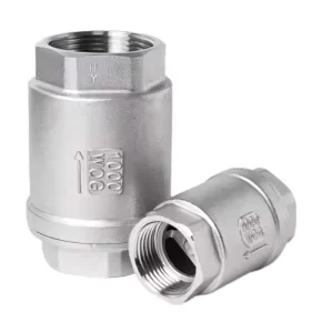 Ss304 Ss316 Stainless Steel 1.5″ NPT Threaded Spring and Swing Check Valve