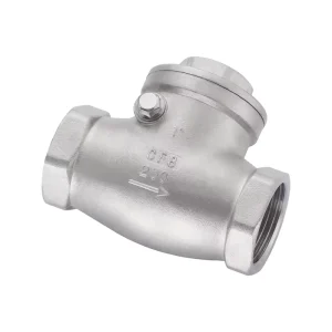 Ss316 Swing Cf8m Low Pressure Air Dn25 1 Inch Body Stainless Steel Check Valve