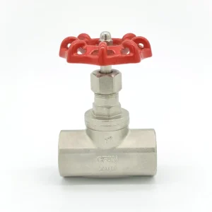 Stainless Steel 201/304/316 Globe & Gate Valves Handwheel Manual Shutoff Water OEM BSP Pipe Fittings DN8-DN100