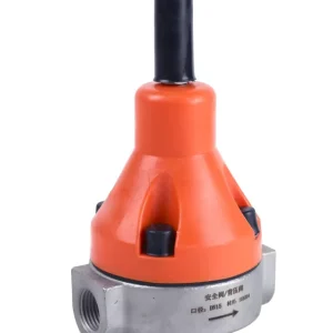 Stainless Steel 304/316 Back Pressure Regulator and Safety Relief Valve for Dosing Metering Pumps