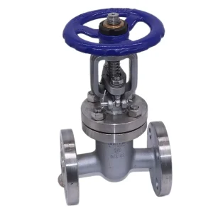Stainless Steel 304 316 Flanged Gate Valve Manual Stop Valve for Municipal Engineering