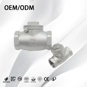 Stainless Steel 304 316 Horizontal PN16 DN15-DN100 Anti-backflow Check Valve with Soft Sealing