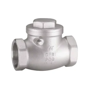Stainless Steel 304 316 Medium Pressure Hydraulic Water Oil Air Pipe Swing Screw End Check Valve With Spring