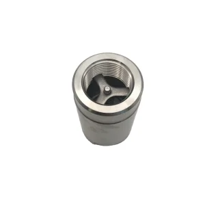 Stainless Steel 304 316 PN40 1PC Vertical Spring Type Check Valve 800WOG Non-Return In-Line Valve Swing One-way Check Valve