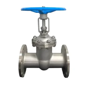 Stainless Steel 304 Flanged Gate Valve Manual Stop Valve for Firefighting and Water System
