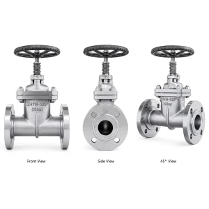 Stainless Steel 304 Metal Seated CE Certified Gate Valve Z41W 25P PN16 Flanged End Industrial Manual Handwheel